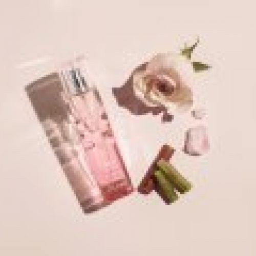 3522930003908 RDV Fresh Fragrance Ingredients