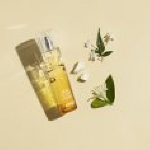 3522930003939 SDV Fresh Fragrance Ingredients