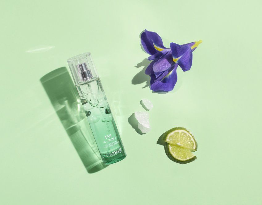 3522930003915 EDV Fresh Fragrance Ingredients