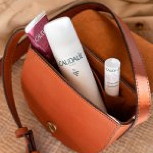 7537 GRAPE WATER BAG