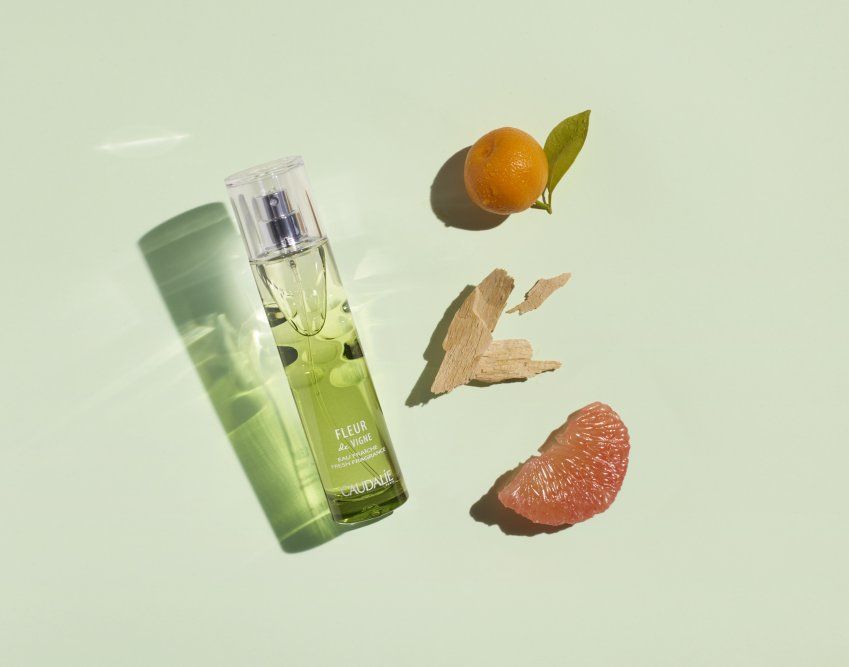 3522930003878 FDV Fresh Fragrance Ingredients