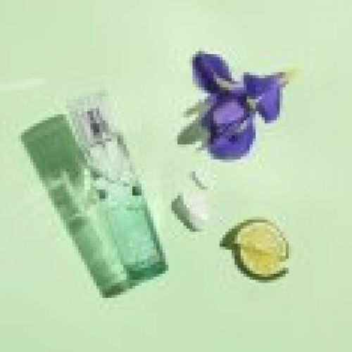 3522930003915 EDV Fresh Fragrance Ingredients