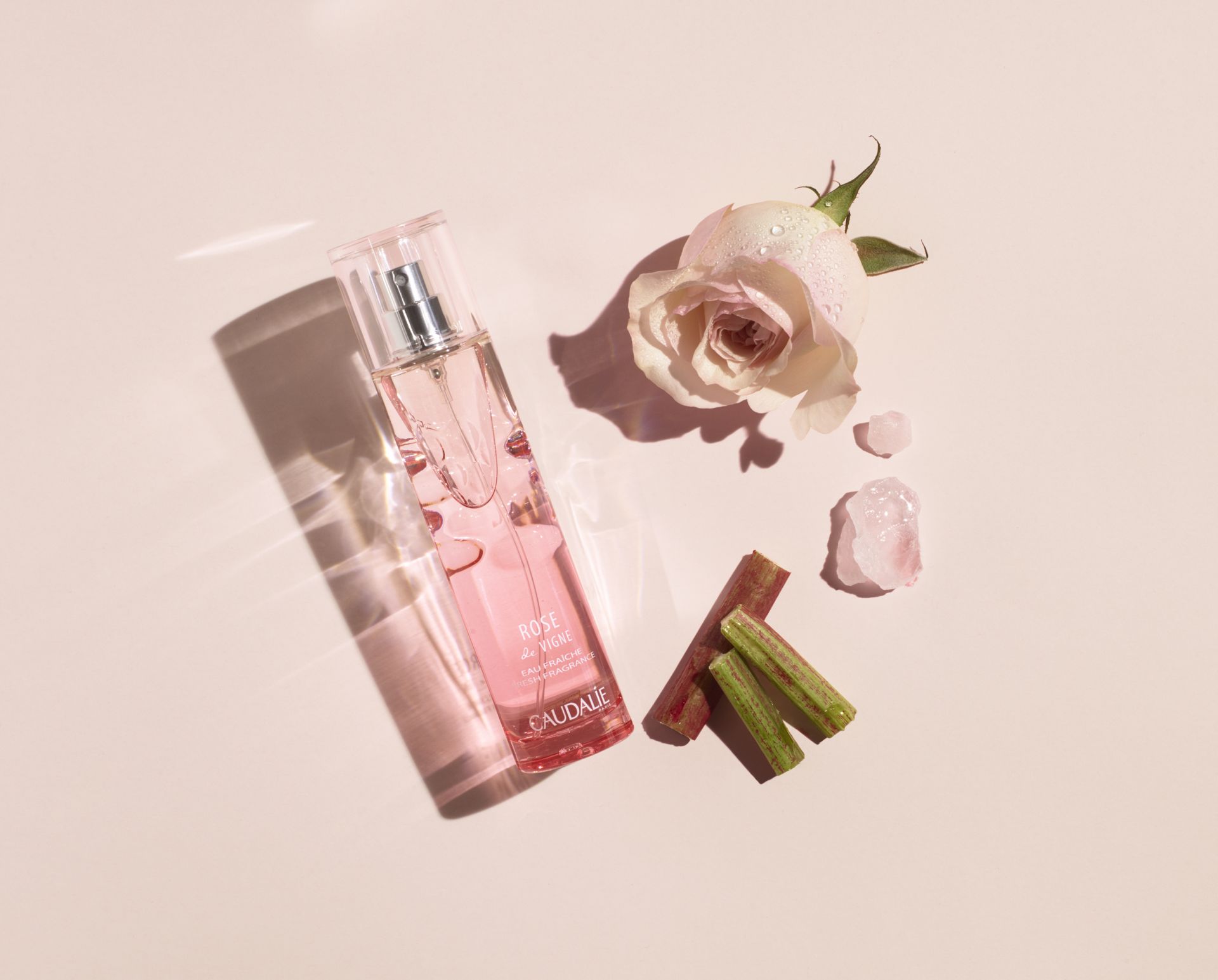 3522930003908 rdv fresh fragrance ingredients