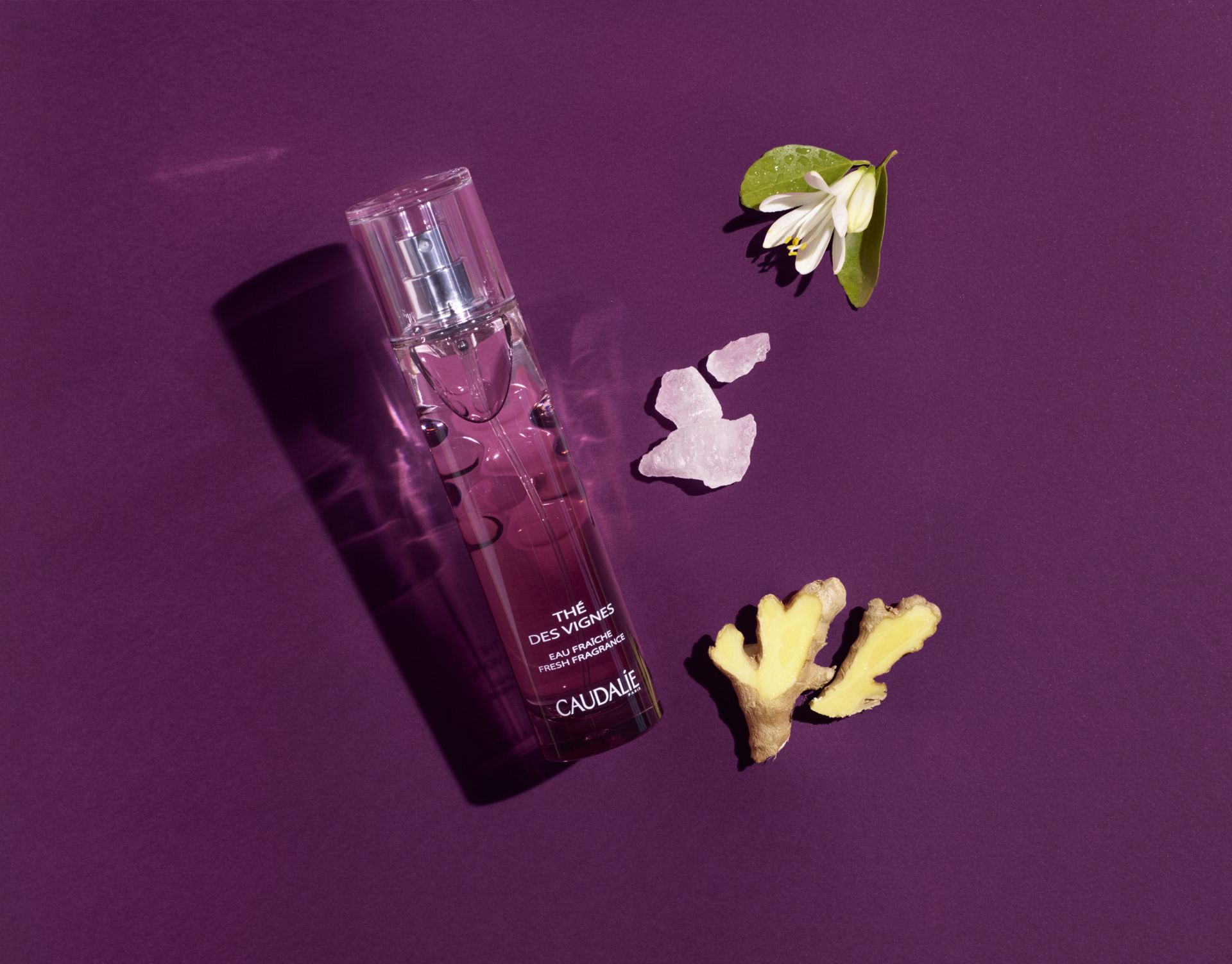 3522930003885 3522930003892 tdv fresh fragrance ingredients