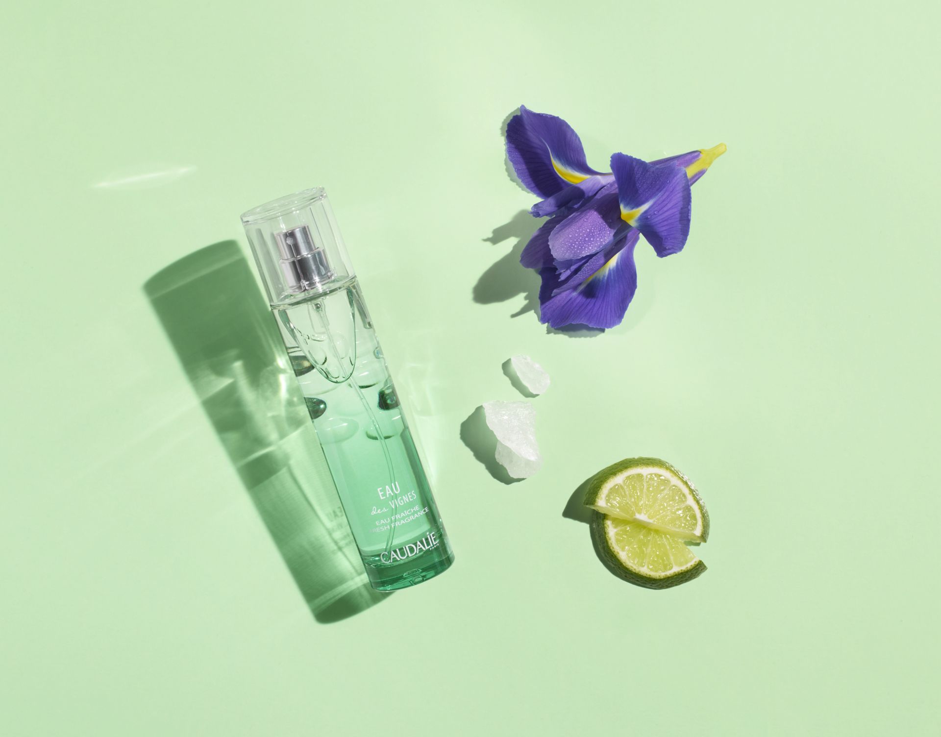 3522930003915 edv fresh fragrance ingredients