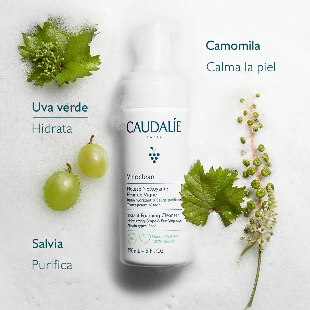 3 vinoclean mousse ingredients caudalie es